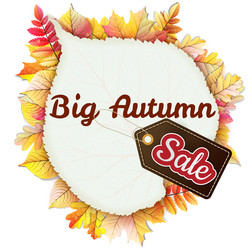 Similar image 8310627