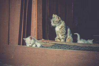 Similar image 8310843