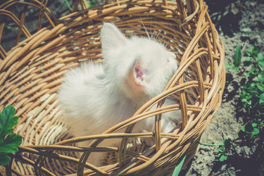 Similar image 8310849