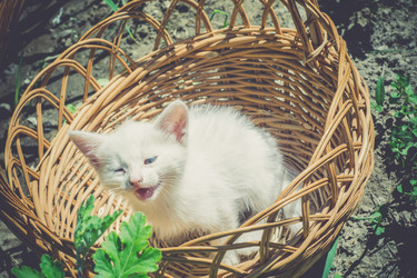 Similar image 8310850