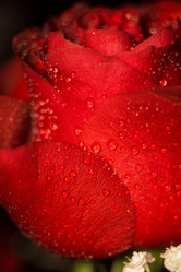 Similar image 8310942