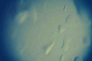 Similar image 8310944