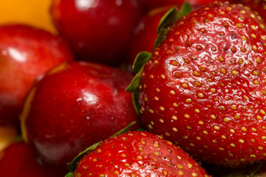 Similar image 8310998