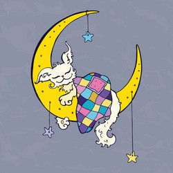 Similar image 8311009