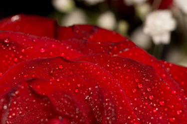 Similar image 8311029