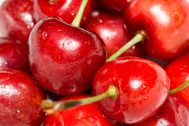 Similar image 8311049