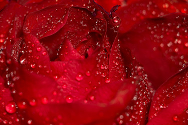 Similar image 8311051