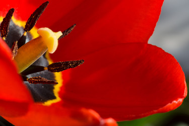 Similar image 8311118