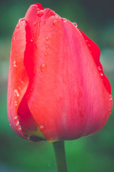 Similar image 8311120