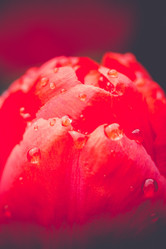 Similar image 8311121