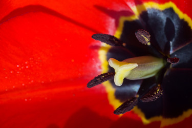 Similar image 8311123