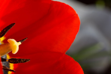 Similar image 8311124