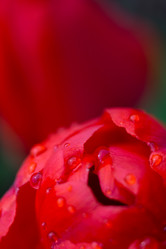 Similar image 8311125