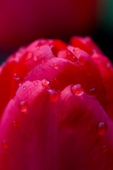 Similar image 8311126