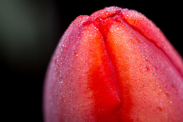 Similar image 8311128