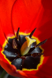 Similar image 8311129