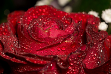 Similar image 8311132