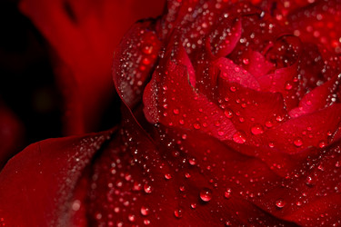 Similar image 8311193