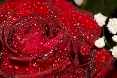 Similar image 8311194