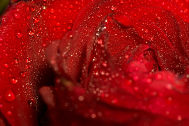 Similar image 8311195