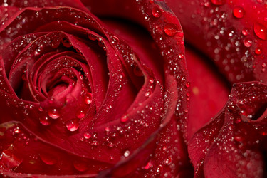 Similar image 8311196