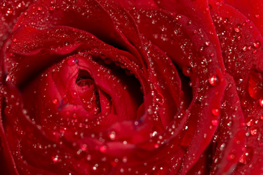 Similar image 8311197