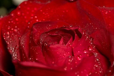 Similar image 8311198