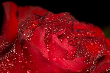 Similar image 8311204