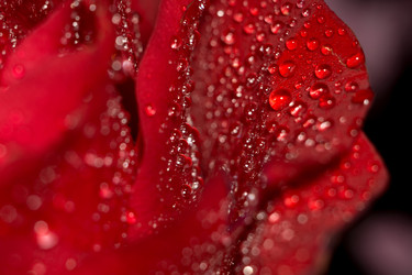 Similar image 8311205