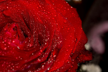 Similar image 8311207