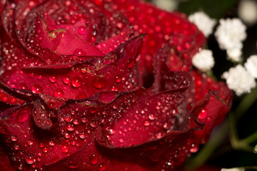 Similar image 8311215