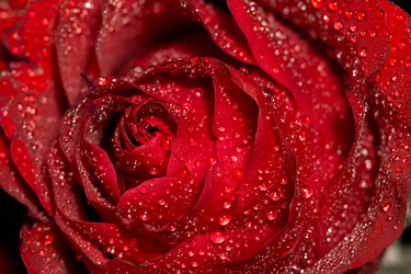 Similar image 8311216