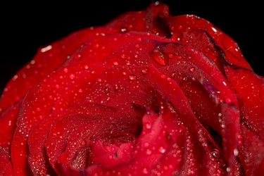 Similar image 8311219