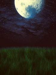 Similar image 8311233