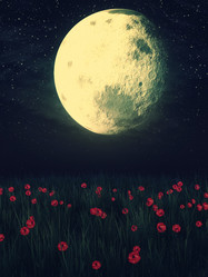 Similar image 8311234