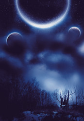 Similar image 8311237