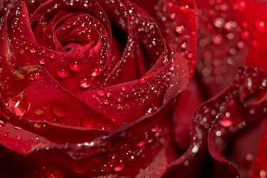 Similar image 8311238