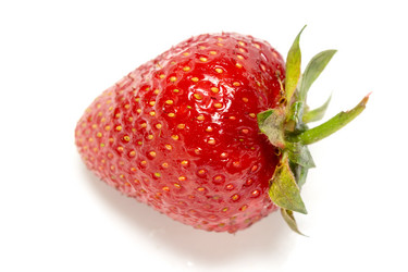 Similar image 8311262