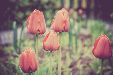 Similar image 8311263