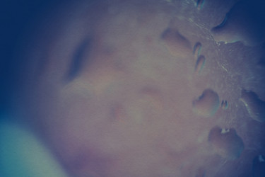 Similar image 8311265