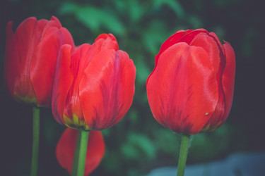 Similar image 8311266