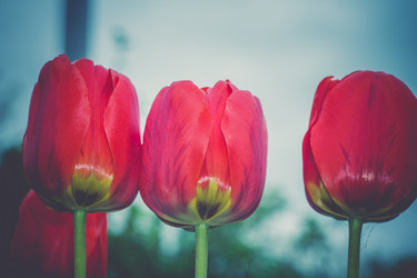 Similar image 8311267