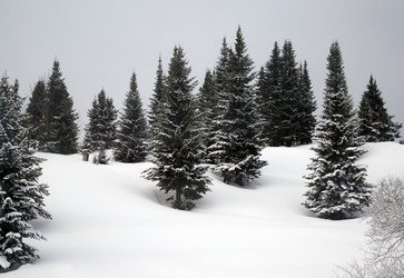 Similar image 8311423