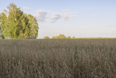 Similar image 8311429