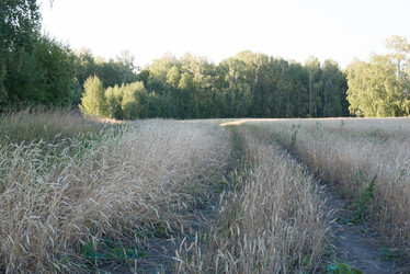 Similar image 8311430