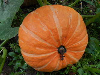 Similar image 8311431