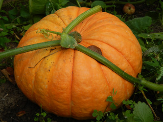 Similar image 8311433