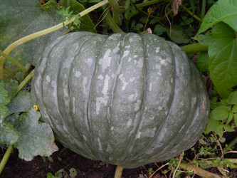 Similar image 8311434