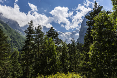 Similar image 8311442