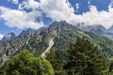 Similar image 8311443